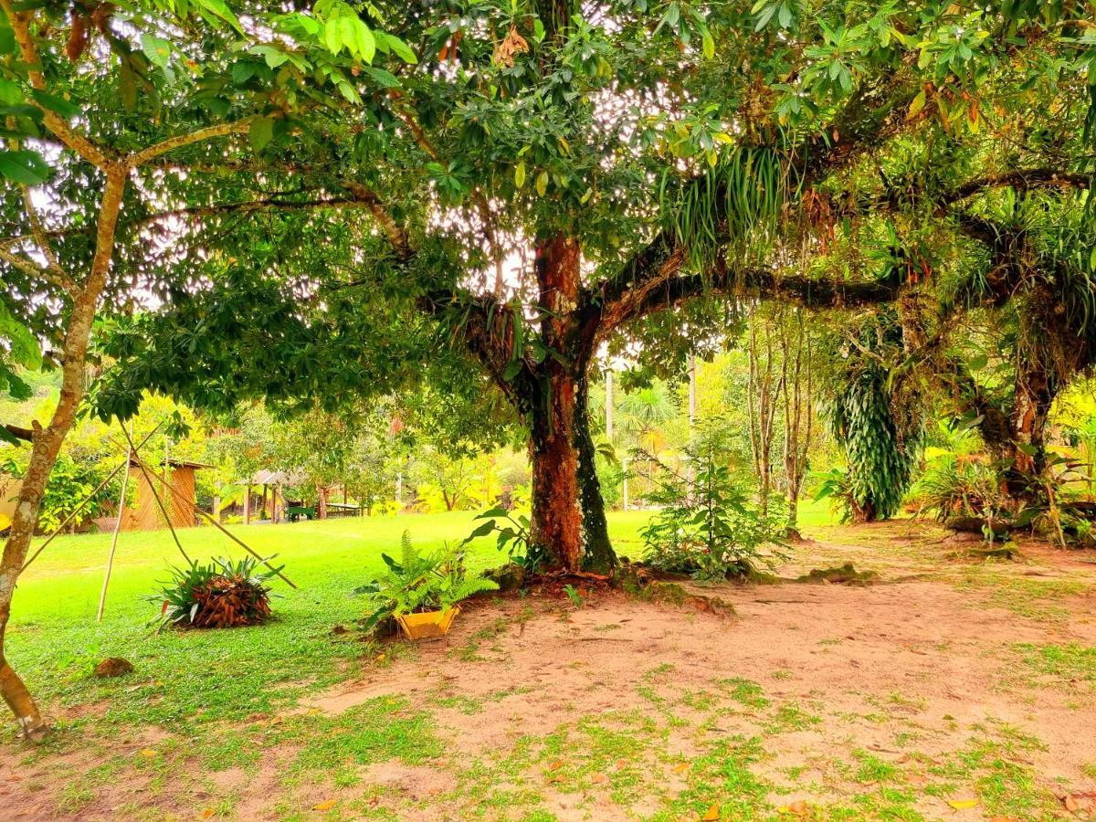 Ponta Poranga Jungle Lodge Nin Ngoại thất bức ảnh